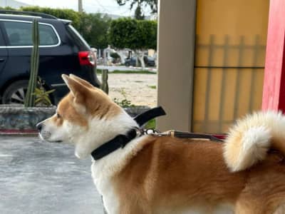 Réserver avant naissance 