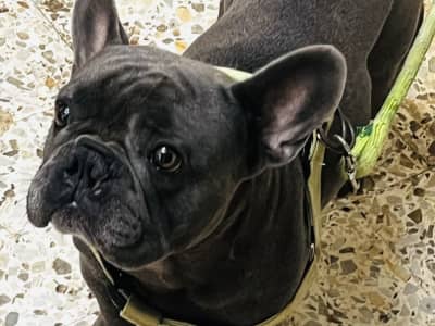 pour les personnes qui cherche des accouplement 