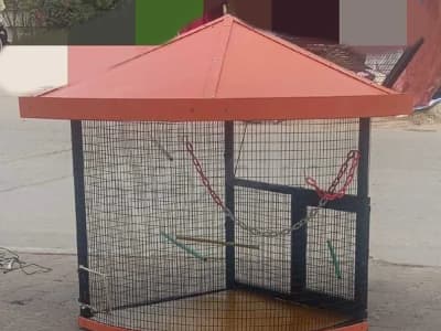 volière fer galvanisé vernis