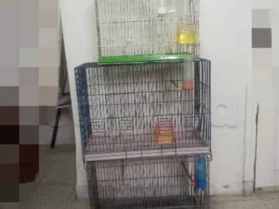 قفاصات للبيع المروج 2