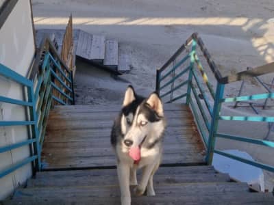 ما شاء الله تبارك الله 