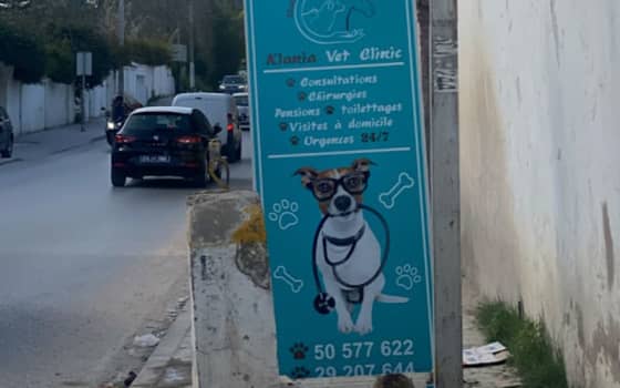 Clinique vétérinaire Klania Vet La Soukra - Dr Inèss Hanchi