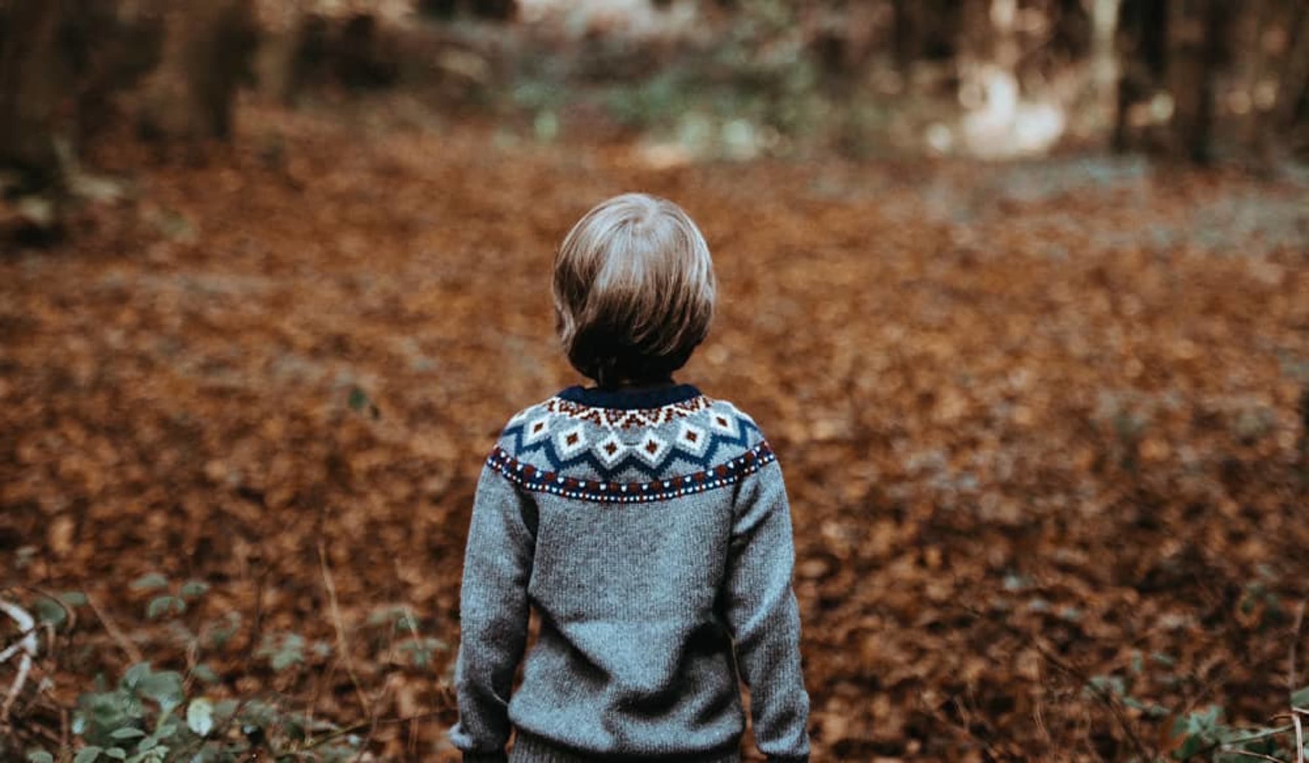 child in the woods