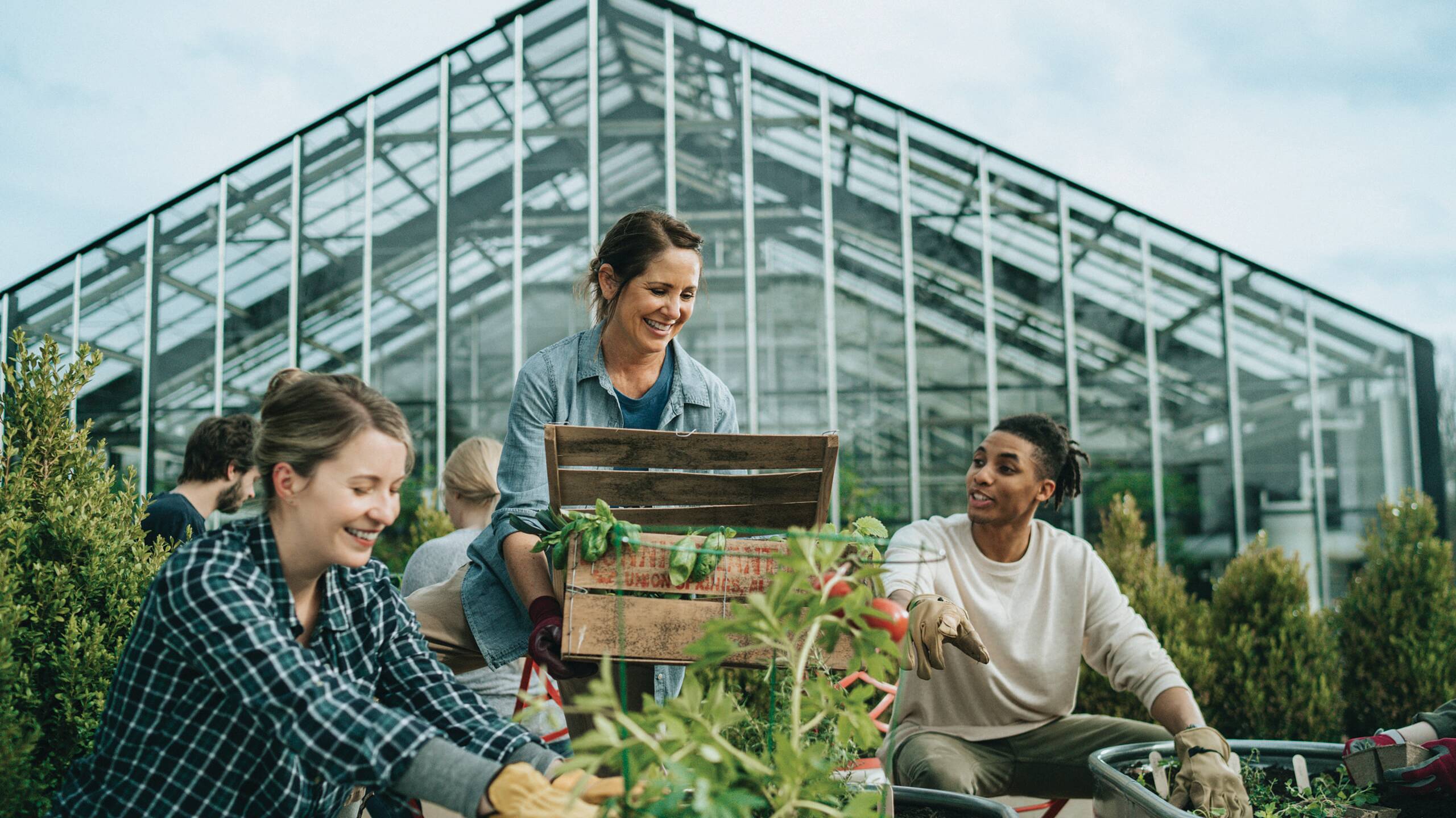 a group of people planting in a community garden