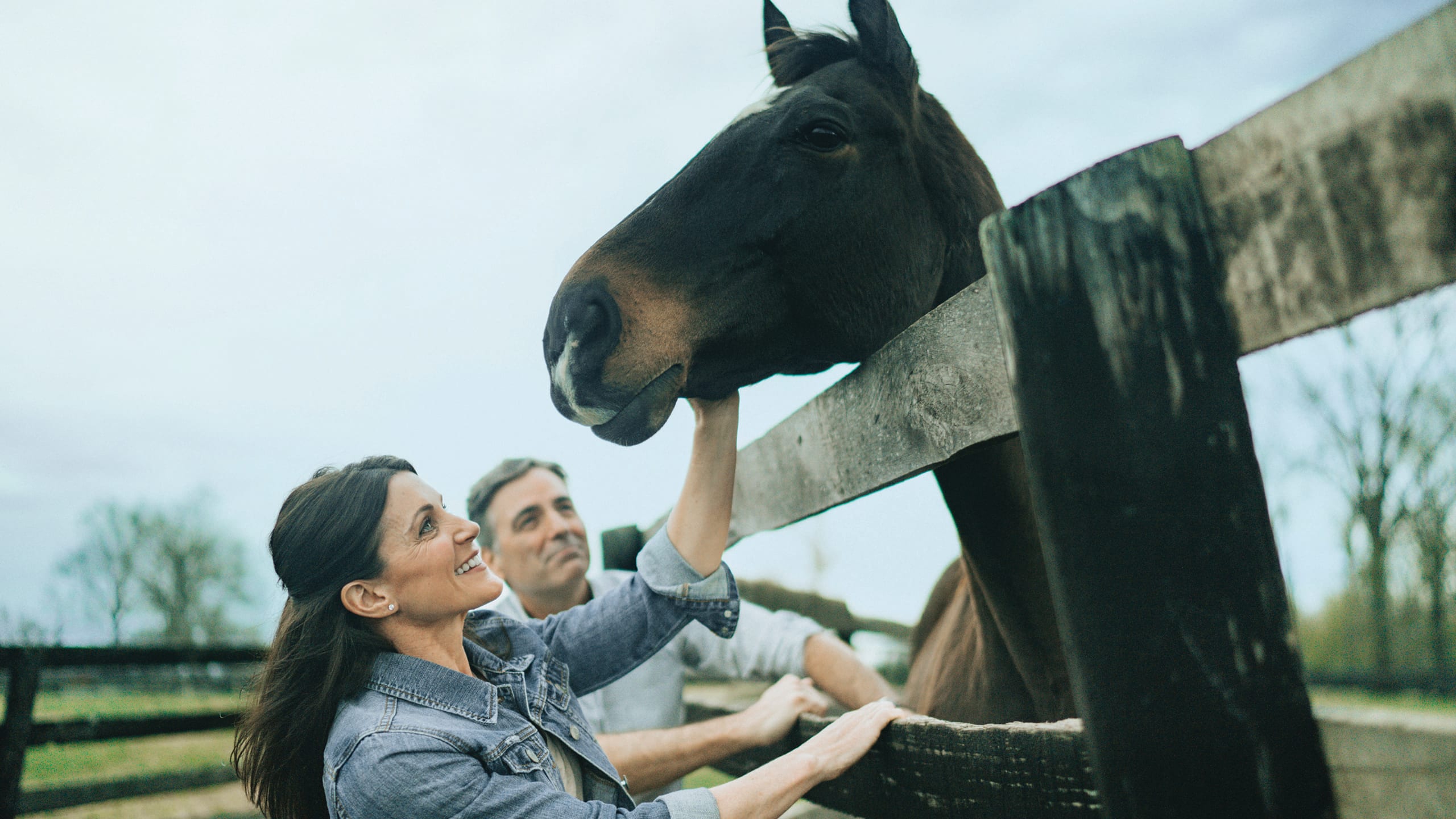 a couple petting a horse