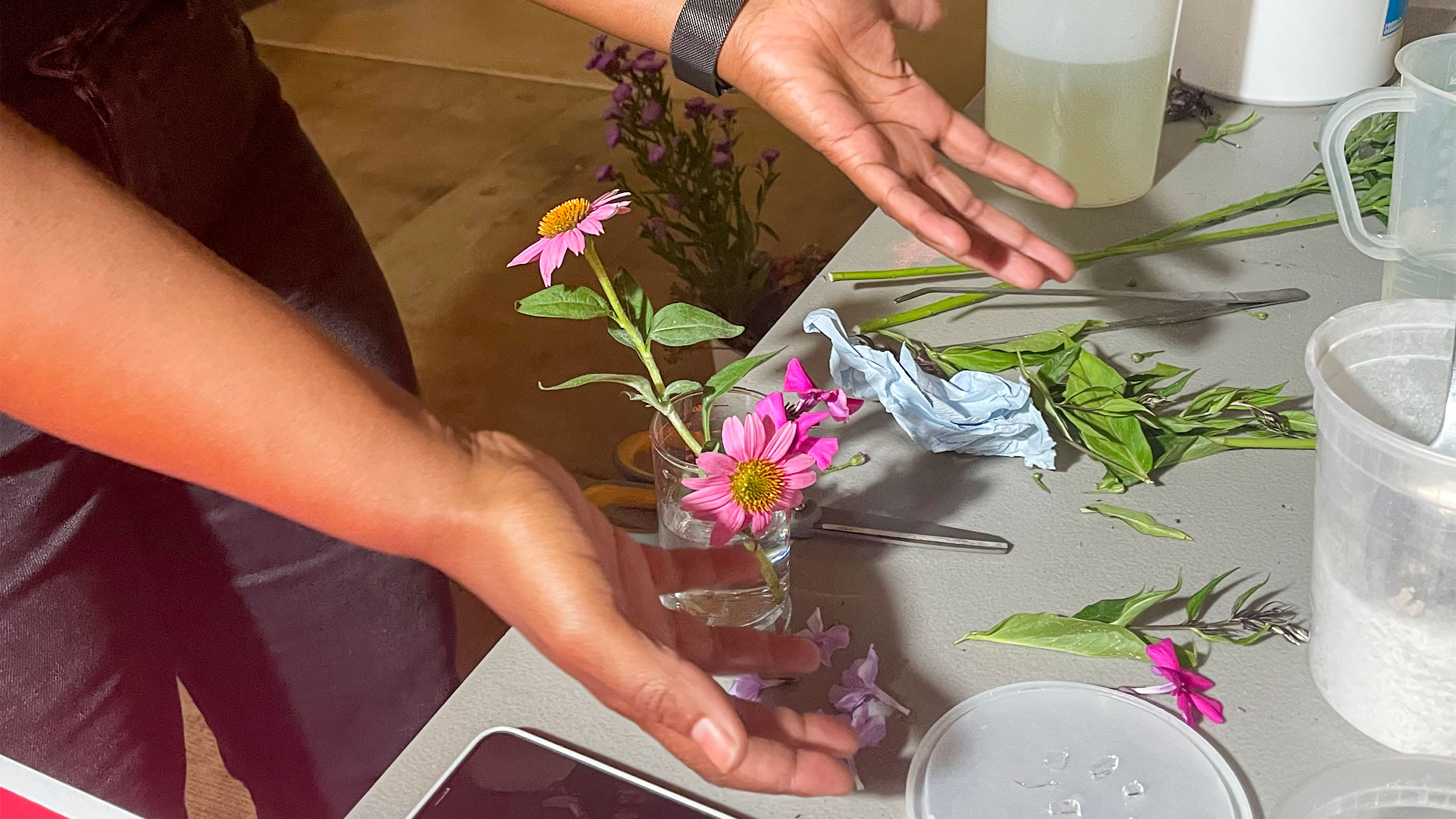 fresh cut flowers in a cup of water