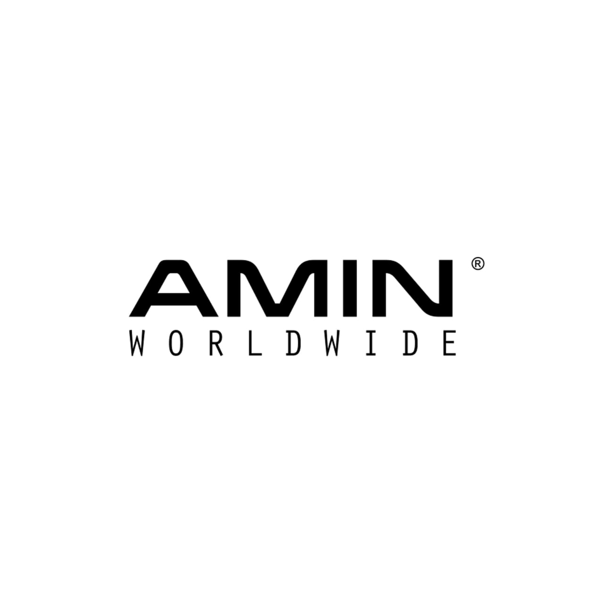 AMIN logo