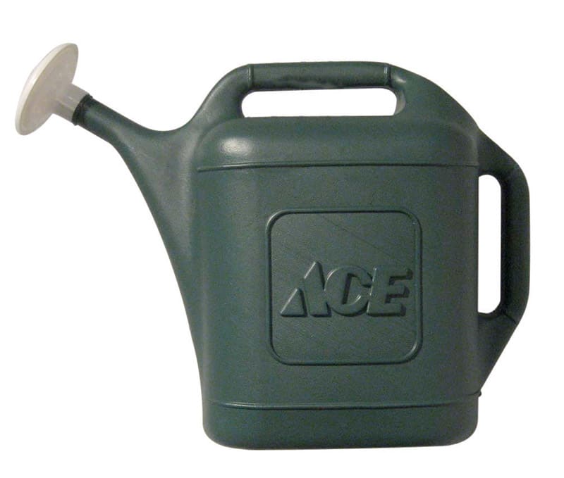 ACE REGADERA 2GAL VERDE