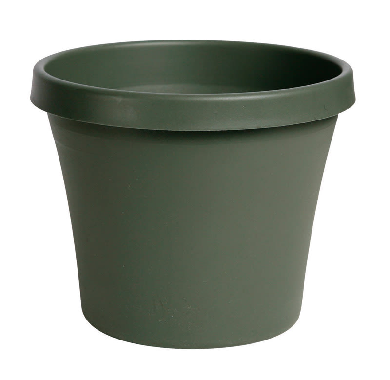 BLOEM MACETA PLST 8IN VERDE