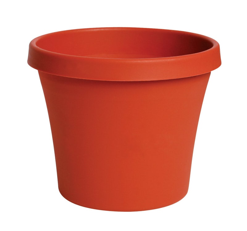 BLOEM MACETA PLST TERRACOTA 12IN