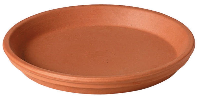 DEROMA PLATILLO DE TERRACOTA 1X6IN