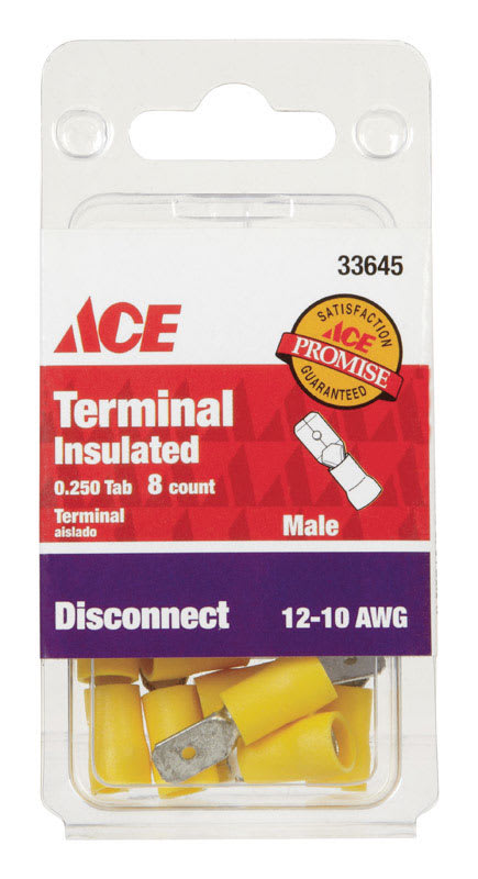 ACE TERM MACHO 8P AM