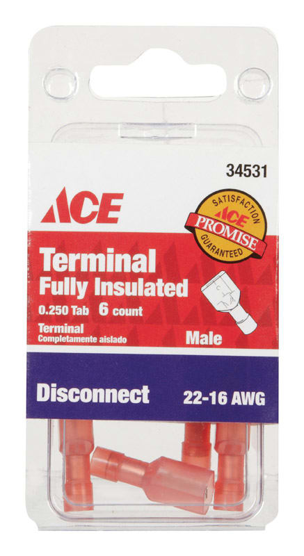 ACE TERM MACHO 6P RJ