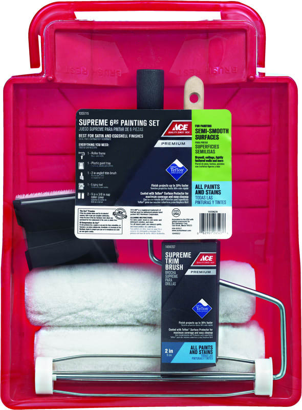 ACE PREMIUM CHAROLA PINT SET 6PZ