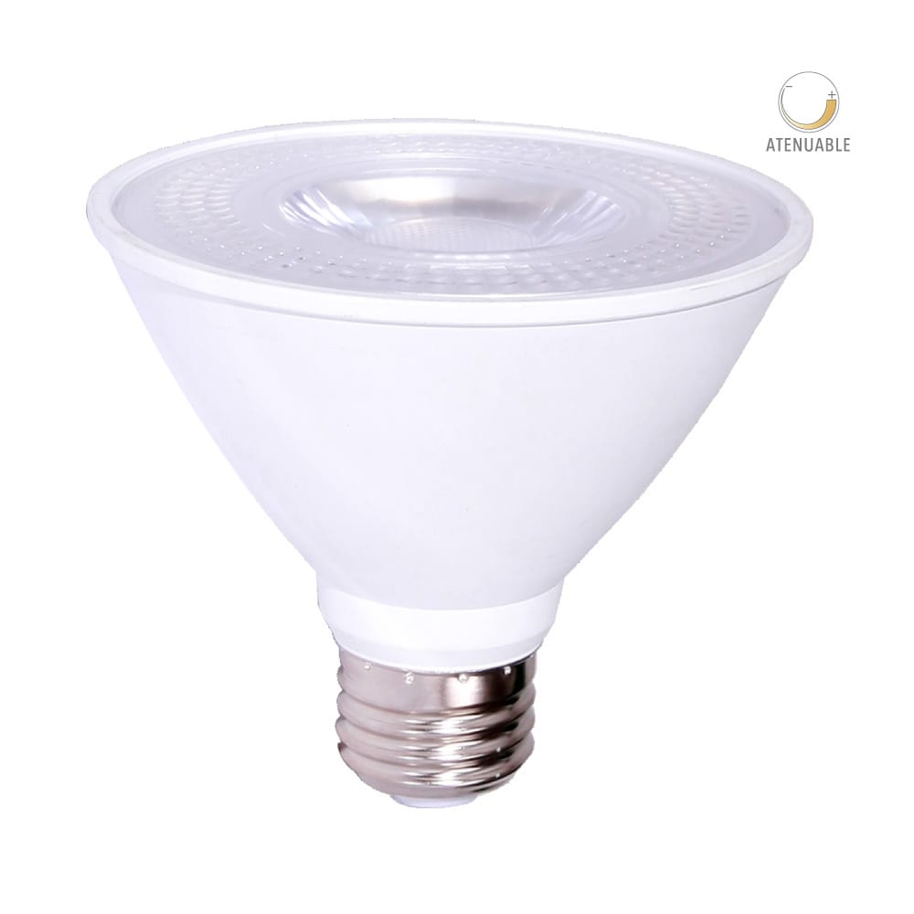 PEGASUS III lamp LED PAR 10W3000KE27
