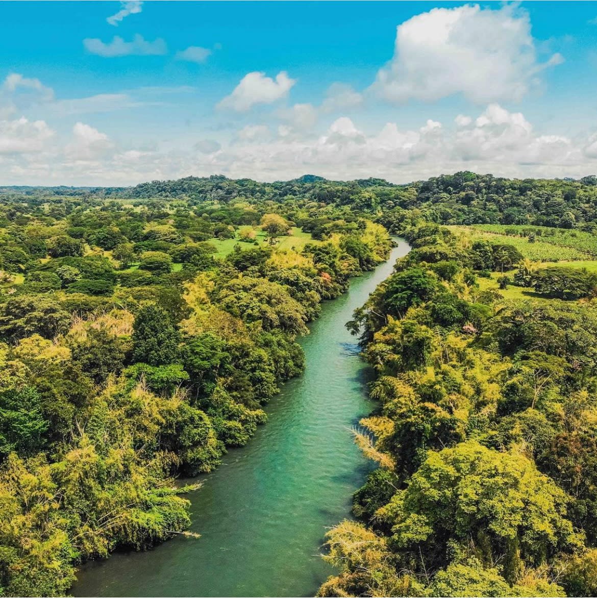 Río La Miel
