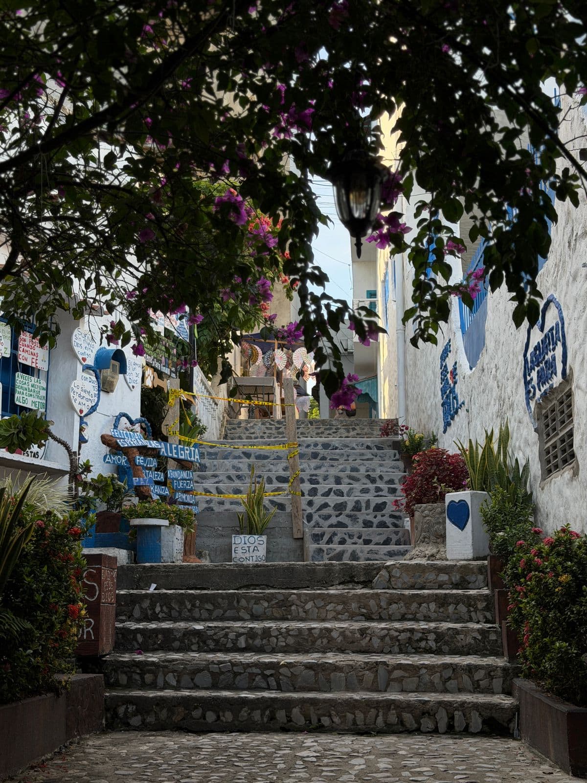 El Santorini Colombiano - Vista 15