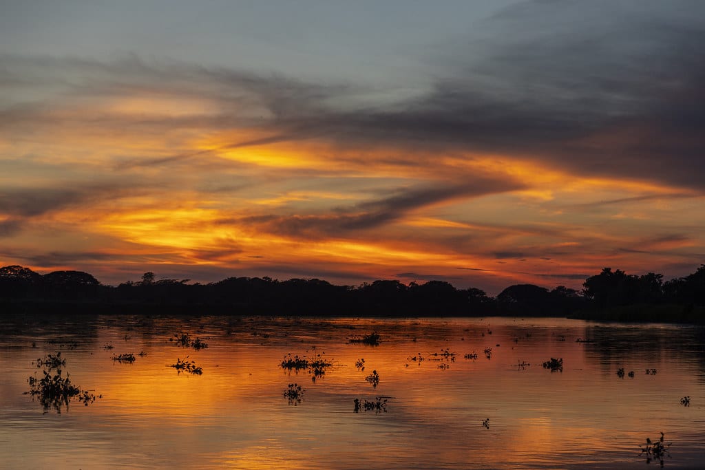 Río Magdalena - Vista 5