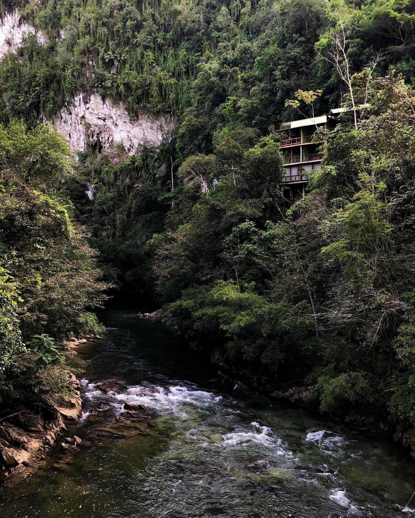 Reserva Río Claro - Vista 5