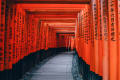 Traditional Japan, between refinement and zenitude