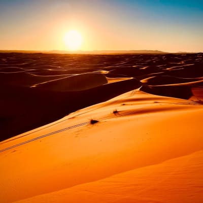 Merzouga Mirage Adventure