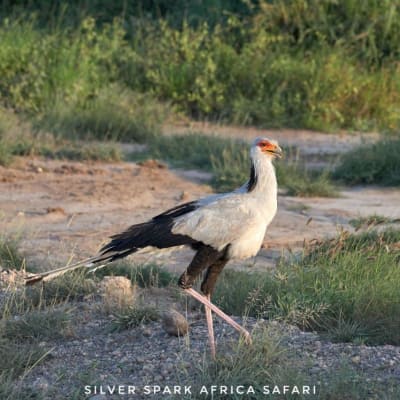 4-Day Game Maasai Mara with Lake Naivasha Geographical