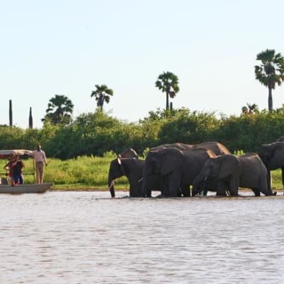 Safari de 4 jours à la réserve de Selous