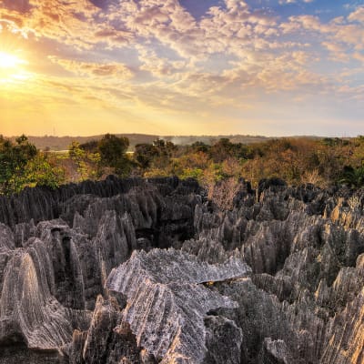 Visite des gorges de Manambolo et les petits tsingy