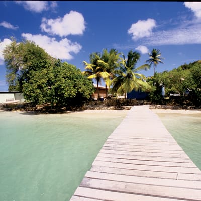 Bienvenue au Paradis !
