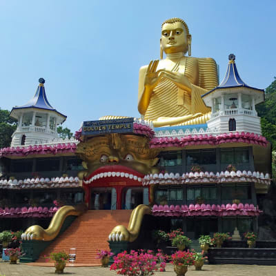 Visite des temples-cavernes de Dambulla