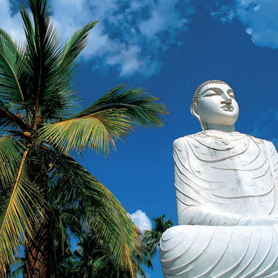 Anuradhapura - Mihintale - Anuradhapura