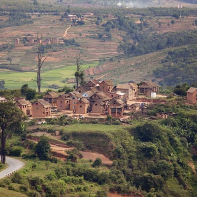 Vohimana - Antananarivo - Antsirabe (B, D)