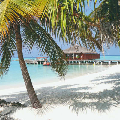 Bungalow Deluxe Front de Mer