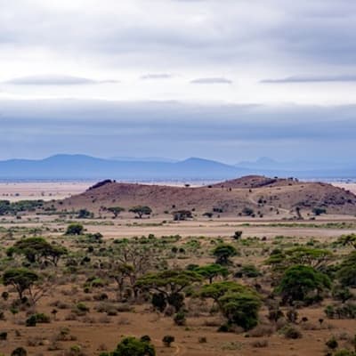 Arrivée à Arusha