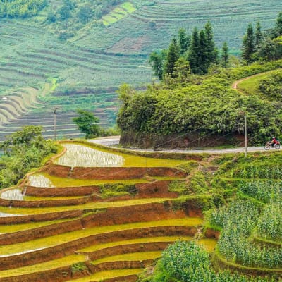 Jour 2: Vu Linh - Bac Ha : 190km