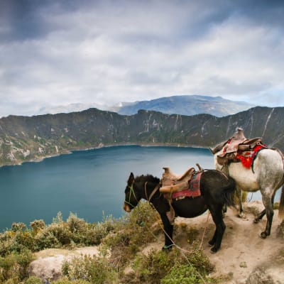 Cuicocha, lac d'altitude et le Milieu du Monde