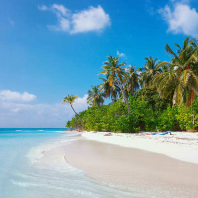 Bodu Kaashi Huraa - Meerufenfushi - Dhiggiri - 2h30