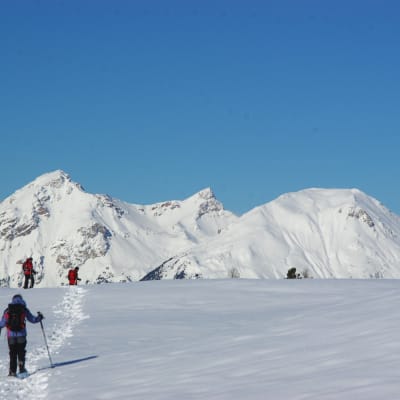 Aiguilles (1450 m) - Alpages de Peynin (1850 m)