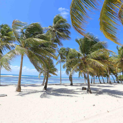 Arrivée en Guadeloupe - Saint François