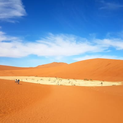 Jour 3: Sossusvlei à Swakopmund
