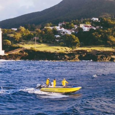 Kayak avec les tortues et jardins enchantés en Basse Terre