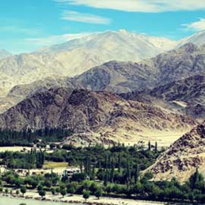 Visite de la vallée de la Nubra, source thermale Panamik et Summor Gompa