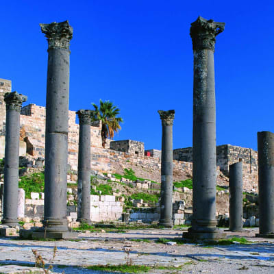 Umm Qais - Vallée du Jourdain - Mer Morte - Madaba