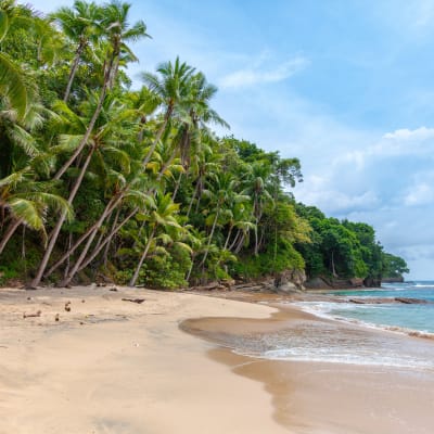 Arrivée (Negombo)
