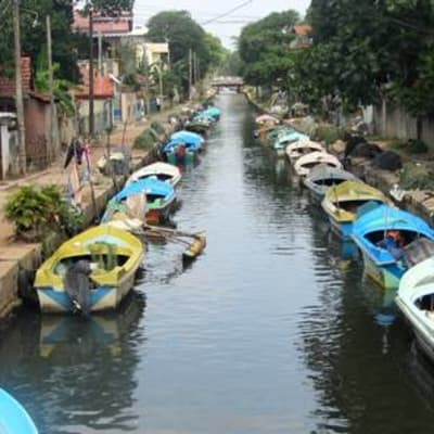 Au fil de l eau sur le canal Hamilton