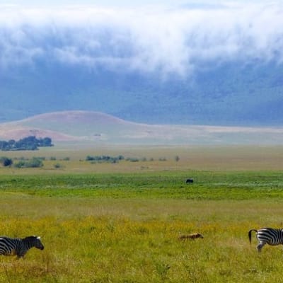 Serengeti National Park to Ngorongoro Crater
