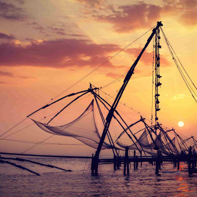 Arrivée à Cochin (organisation susceptible de varier en fonction de votre arrivée)