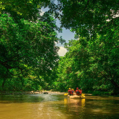 Siquirres - Fleuve Pacuare