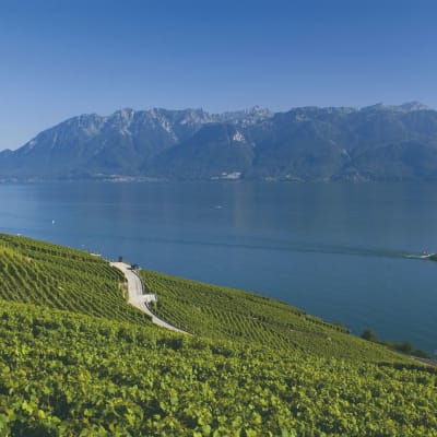 YVOIRE ET LE LAC LÉMAN