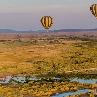 Journée complète dans le parc national du Serengeti